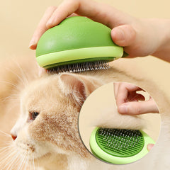 Cat  Remover Cleaning Brush