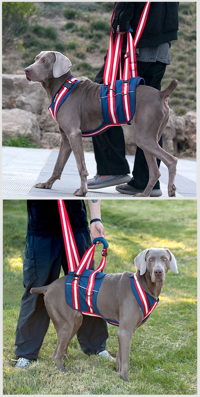 Pet Leash Harness For Elderly Dogs