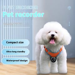 Pets Recorder Pet Tracker Collar Dogs And Cats