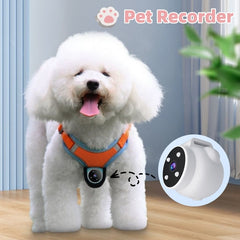 Pets Recorder Pet Tracker Collar Dogs And Cats